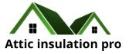 Attic Insulation Pro logo